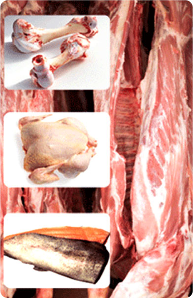 Balance Diet premium dog food raw meat and chicken for improved muscle and stability healthy gums