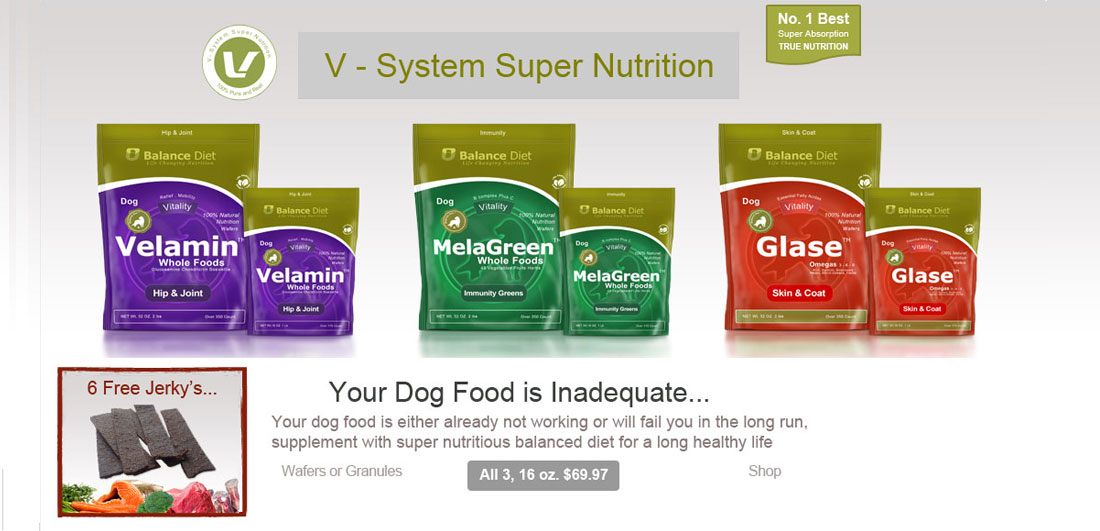 Balance Diet Premium Dog food V-multivitamin and muti nutritional food for dog for brest health and strong muscle