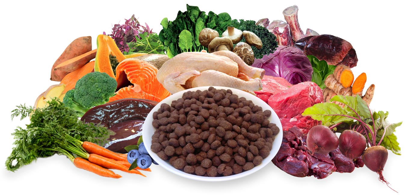 Balance Diet premium dogs food best healthy food for dogs vegies and fruits these are alkaline or acid forming foods and raw chicken,meat for strength