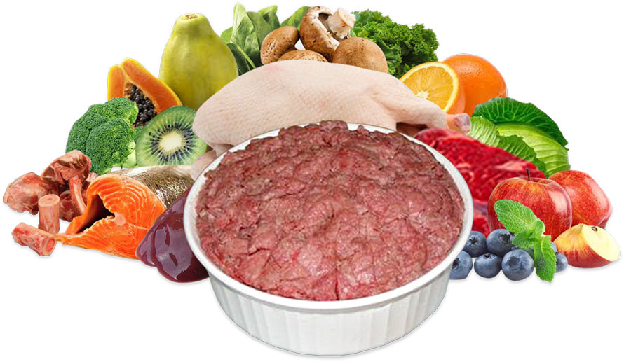 Balance Diet premium dogs food best healthy food for dogs vegies and fruits these are alkaline or acid forming foods and raw chicken,meat for strength