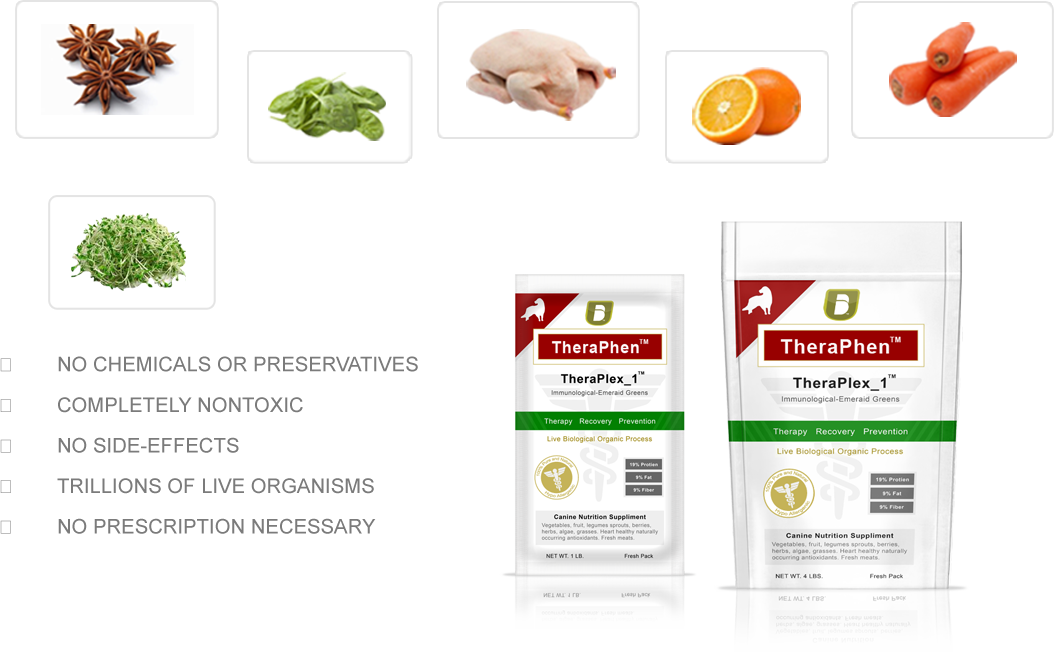 Balance Diet premium dogs food best healthy food for dogs vegies and fruits these are alkaline or acid forming foods Thera Phen is made up from these raw foods